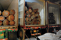 Export Industry