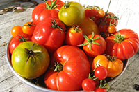 Organic Industry