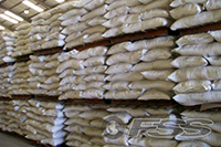 Seed Industry