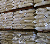 Seed